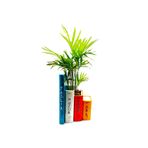 MUDİTASARIM ÇİÇEK Kitap Saksı Bonsai