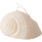 Mudo Home DENİZ KABUĞU MUM 11X9 CM - Ekru - RENKSİZ