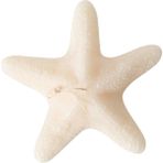 Mudo Home DENİZ YILDIZI MUM 21X5 CM - Ekru - RENKSİZ