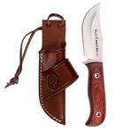 Muela Mustang 8 cm Mercan Saplı Bıçak