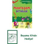 Muhteşem Bitkiler – Boyama Kitaplarım 3-4 Yaş + Boyama Kitabı