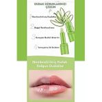 MUJGAN Aloevera%99 Dudak Bakım Nemlendirici Sihirli Ruj Kirmizi