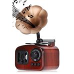 MUJGAN Dekoratif Nostaljik Dönen Plaklı Gramafon Müzik Kutusu