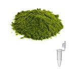 Mum Boyası Pigment 1,5ml Tüp Içerisinde Mum Yapma Malzemeleri Mum Yapımı Renklendirme - Yeşil