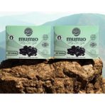 Mumio Mumiyo(Shilajit) Takviye Edici Gıda 2'li 90 Tablet Doğal İçerik ve Vitamin Desteği