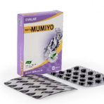 Mumiyo 60 Tablet