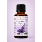 MUMTEDARİK Lavanta Kokulu Premium Mum Esansı 20 ml