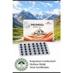 MUMYO Doğal Mumiyo 2 kutu