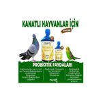 Munich Vet Probiox 500 ml Kanatlı Hayvanlar İçin Canlı Probiyotik