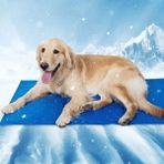 Munico 2 Adet Evcil Hayvan Buz Minderi 50X65 Köpekler Kediler Yaz Serinletici Uyku Pedi Aşınmaya Dayanıklı
