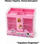 Munis Capybara Figürlü Masaüstü Organizer & Kalemlik | 4 Çekmeceli Çok Bölmeli Düzenleyici - Pembe