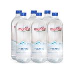 Munzur Su Cam Şişe 750 ml 6'lı Bir Koli