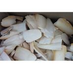 Mürekkep Balığı Kalamar Kemiği Kırık 5-8 Cm