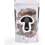 Mush Jumbo Kuzu Göbeği Mantarı 100 gr