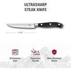 Mutfak Bıçağı Biftek Bıçağı Dövülmüş Hediye Kutusu, 12 Cm, 7.7203.12 G