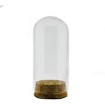 Mutlu Adım Küçük Cam Ters Şişe Fanus Terrarium 3,5 x 8 cm 12'li