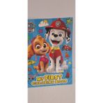 Mutlu Anılar Parti Evi Paw Patrol Boyama Kitabı