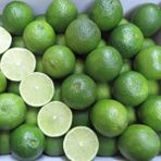 Mutlu Paket Tüplü Aşılı Nadir Meksika Lime Çekirdeksiz Limon Fidanı