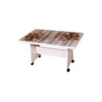 MUTLUALIŞVERİŞMERKEZİ Camlı Masa Tekerlekli Orta Sehpa 65x65x105