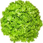 Mutlupaket Waldman'S Green Marul 90 Tohum