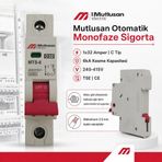 Mutlusan 1X32a C 6Ka W-Otomat Sigorta Monofaze Tek Fazlı W Otomat Sigorta