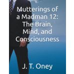 Mutterings of a Madman 12: The Brain, Mind, and Consciousness