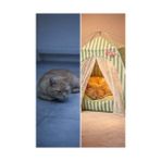 MWX Teknoloji Katlanabilir Yazlık Kedi Evi File Panelli Taşınabilir Minderli Evcil Hayvan Çadırı 35X35X35 cm Iç Minderli Nefes Alabilir Taşınabilir Kedi Köpek Evi Konforlu Uyku Alanı (Yeşil) - Option-1