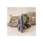 My Best Store Doğal Kedi Nanesi (Catnip) - 45 ml Tüp - Pratik ve Taze