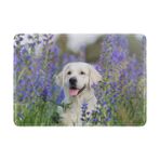My Daily Golden Retriever Köpek Çiçek Deri Pasaport Tutucu Kapak Kılıf Koruyucu, Çok renkli, 6.5 x 4.5 inch
