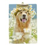 MyDaily A4 Standart Pano, Golden Retriever Köpek Güzel Çelenk, Plastik Pano, Öğrenci Okul Ofisi için, Düşük Profilli Metal Klipsli Asma Deliği
