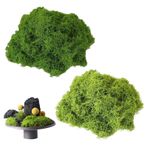 Myluatye Dekorasyon için suni yosun 200 g, el işi için suni yosun, yapay yosun dekorasyonu, sahte yosun, duvar beşiği, akvaryum model yapımı için (100 g koyu yeşil + 100 g açık yeşil)