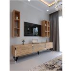 Myniture Home & Living Festival Tv Ünitesi ATLANTİK SİLVER COLOR Tv Sehpası ve Duvar Rafı S3007-6