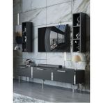 Myniture Home & Living Festival Tv Ünitesi S3004-4-Y1-D1 Silver Antasit