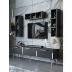 Myniture Home & Living Festival Tv Ünitesi S3007-4-Y1-D1 Silver Antasit