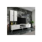 Myniture Home & Living Ideal Tv Ünitesi + Duvar Raf Ve Dolaplı Beyaz Q7822-1