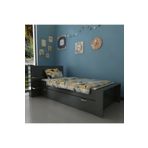 Myniture Home & Living Trend Yavrulu Karyola Antrasit Q4013-4