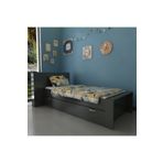 Myniture Home & Living Trend Yavrulu Karyola Antrasit Q4014-4