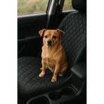 MYS Flex Araç İçi tekli SIVI geçirmez siyah 50x130 cm Evcil hayvan Örtüsü / köpek örtüsü koltuk koruyucu