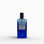 Mystical Parfumeur E-A08 50 ml Erkek Parfüm