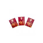Mythos Cards Galatasaray Rise Futbolcu Kartları 5 Paket Avantajlı Set - 25 Adet Koleksiyon Kartı