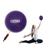 Myween Egzersiz Topu Küçük, 15,24 cm Pompalı Pilates için Çekirdek Topu, 15,24 cm Barre Topu, 15,24 cm Denge Topu Mini Yoga Topu Kadınlar için Egzersiz Fitness Fiziksel Terapi PT, Mor