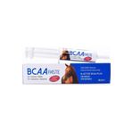 N Active Bcaa Paste 60 Ml