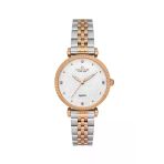Nacar Safir Cam Gümüş - Rose Kadın Kol Saati Nc34-390553-Esms