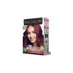 Nacario 4.65 Şarap Kızılı Set Boya