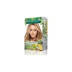 Nacario Amonyaksız, Vegan, Doğal, Besleyici Kalıcı Saç BOYASI%100 Beyaz Kapama (1 Paket 2 x 50 ml
