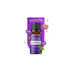 Nacario Auran Lavanta Esansiyel Uçucu Koku Yağı 10ml Çok Amaçlı Kullanım İçin Buhurdanlık Yağı Difüzör Esansı
