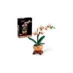 Nacario Botanicals Mini Orkide 10343 – Renkli Terakota Saksı Ahşap Efektli Kaide Içeren Yetişk