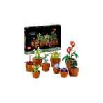 Nacario Botanicals Minik Bitkiler 10329 – Yetişkinler Için Terakota Renkli Saksıda Kurak, Tropik Et