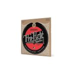 Nacario D'addario EJ47 Klasik Gitar Tel Seti, Pro-Arte, 80/20 Bronze Woun