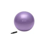 Nacario Gaiam Jimnastik Toplarımız Total Body Balance Ball Kiti 55 cm
